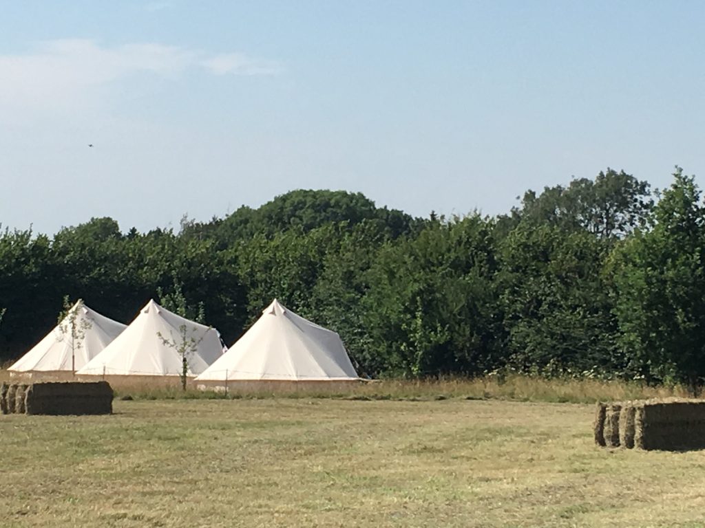 The glampsite in high summer