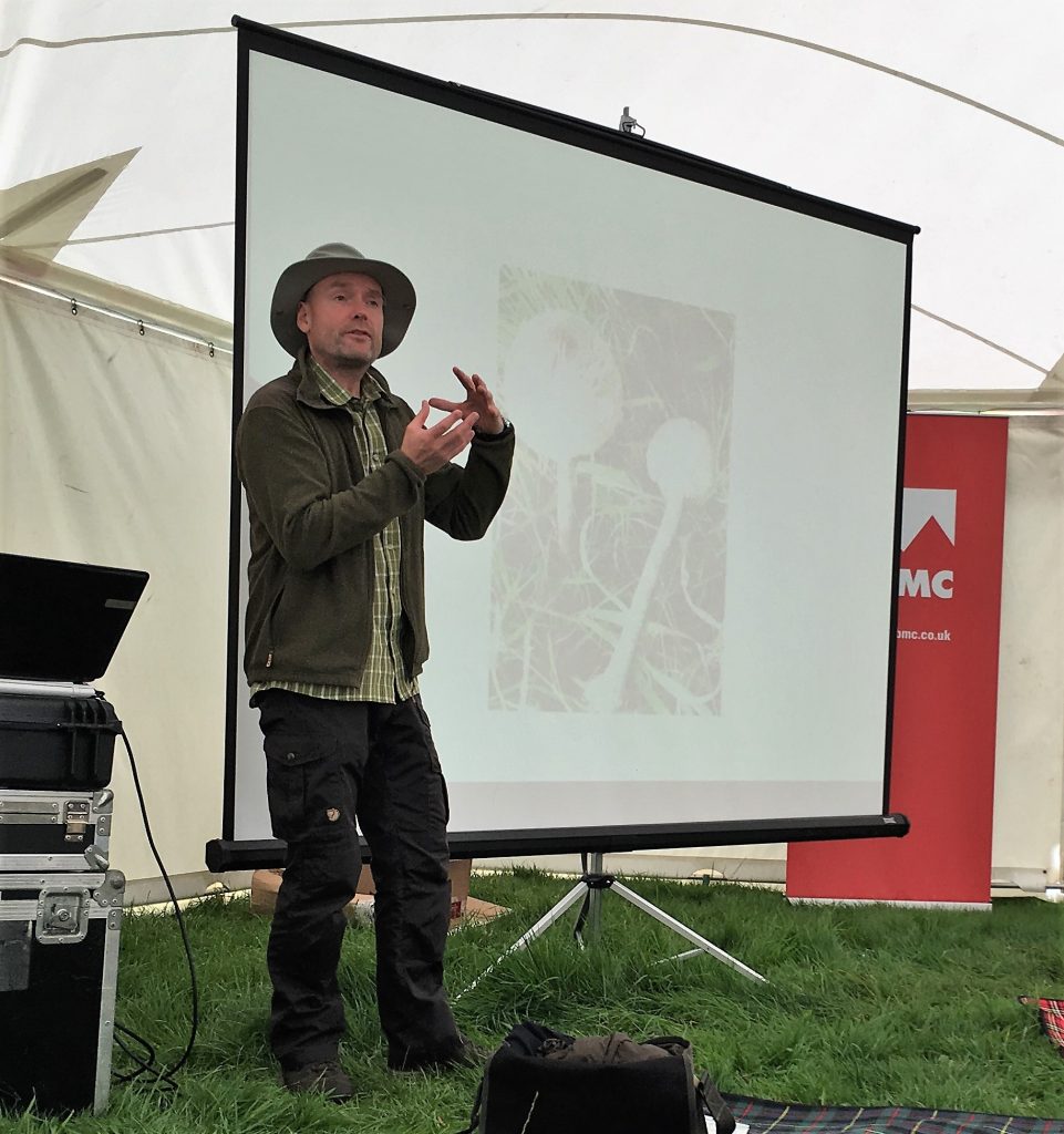 Talk on wild food